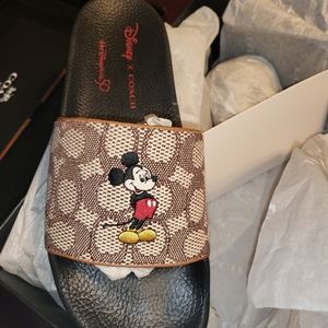 Coach Disney Slides